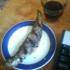 Seven's Good Friday fish