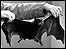 A bat!