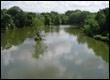 Tottington Woods