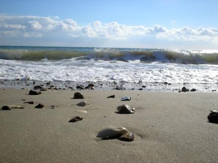 beachb.JPG