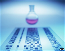 DNA fingerprinting