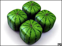 melons_pa_203.jpg