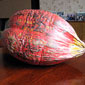 The coconut Norman sent home from Christmas Island