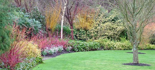 RHS Garden Rosemoor