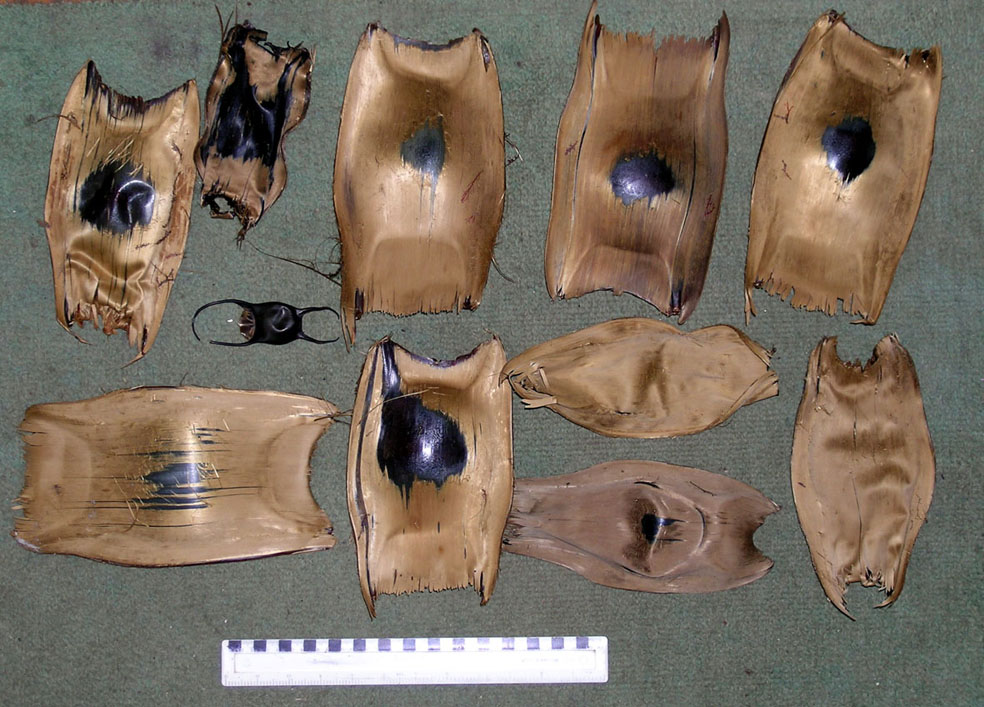 Found at Birsay