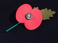 Poppy 