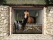 Cortesia: style-your-garage.com