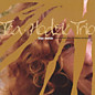 Review of Stay Awhile