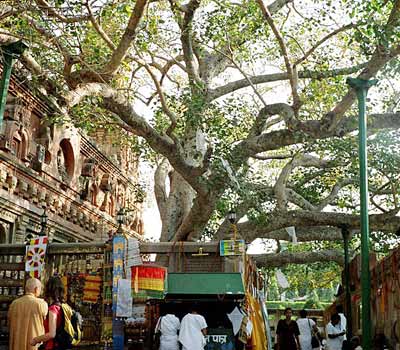 Bodh Gaya