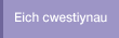 Eich cwestiynau