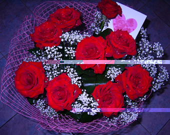 Roses