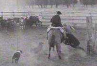 Gaucho o Batagonia