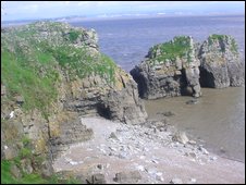cliff_gulls.jpg