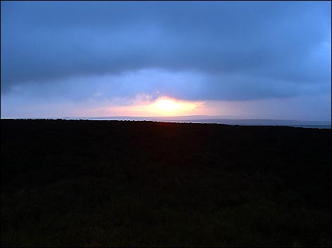Exmoor