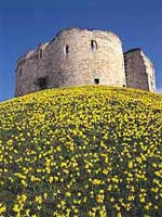 clifford tower