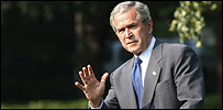 bushg_203.jpg