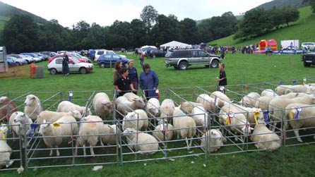 sioe_aberhosan2010-1.jpg