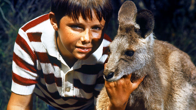 b00qvl9g_640_360.jpg