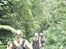 Secondary Forest Fragment in Honduras