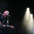 Placebo -
