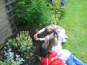 Planting 