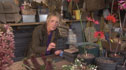 Carol Klein