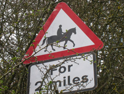 sign5.jpg