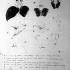 Darwin Archive