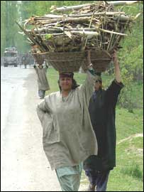 کشمیر