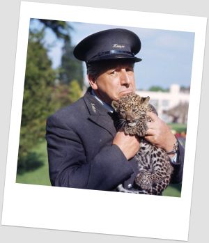 animalmagic.jpg