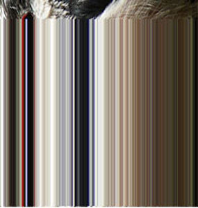 Colourscheme 3