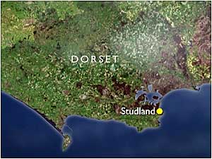 Studland map