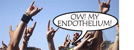 Moshers in trouble