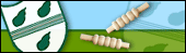 Worcestershire CCC