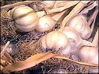 سير