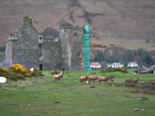 Lochranza