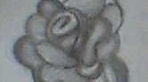 Rose.