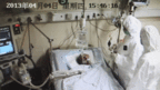 目前在中國已經有14人感染H7N9病毒，其中6人死亡。