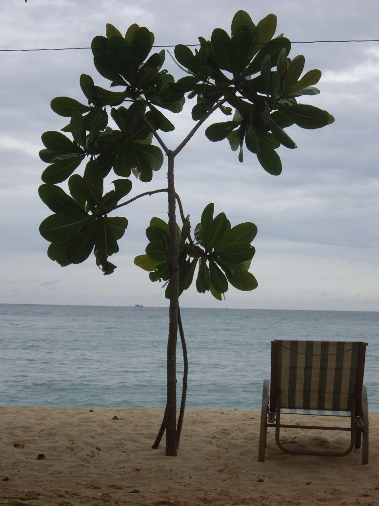 tranquility...