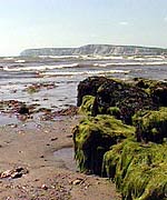 Coastline