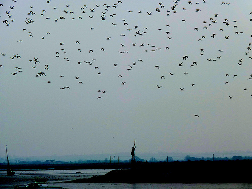 migrating away!