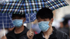 目前在中國已經有14人感染H7N9病毒，其中6人死亡。