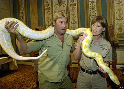 snake.jpg