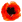 poppy