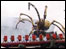 Spider moves
