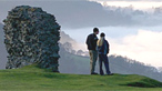 Dinas bran