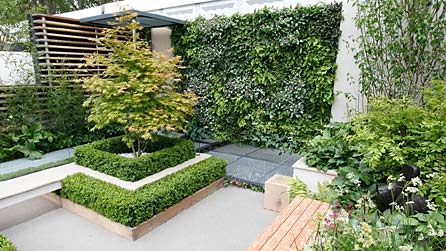 Eco Chic
