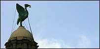 liver_bird203x100.jpg
