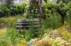 The Fetzer Sustainability Garden