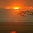 Estuaries (Image: Sunrise at Caerlaverock)